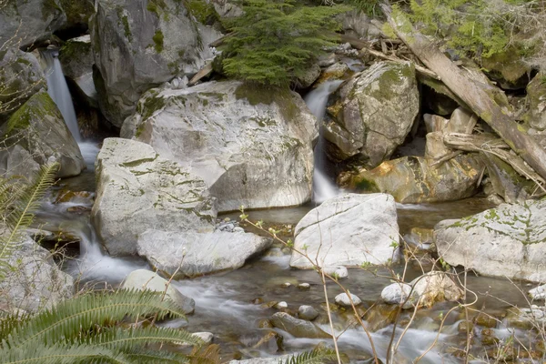 Ladder Creek Falls — Stock Photo, Image