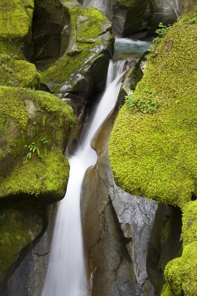 Stege creek falls — Stockfoto