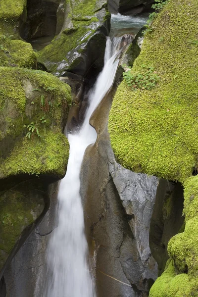 Scale Creek Falls — Foto Stock