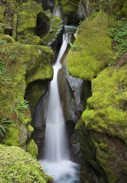 Stege creek falls — Stockfoto