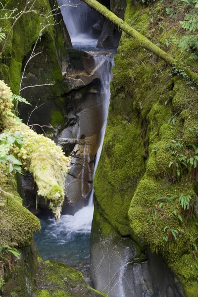 Žebřík creek falls — Stock fotografie