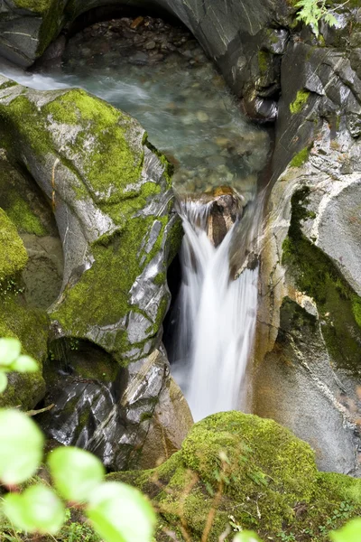 Stege creek falls — Stockfoto