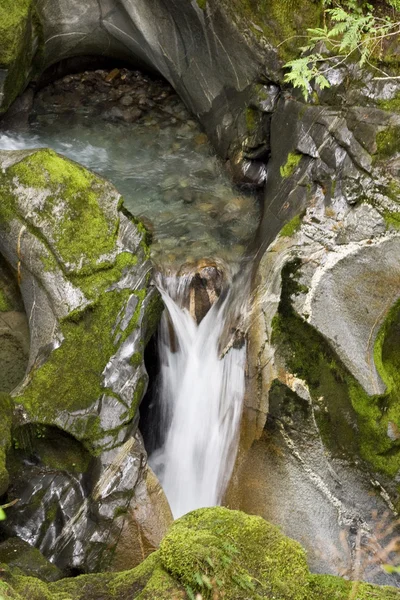 Žebřík creek falls — Stock fotografie
