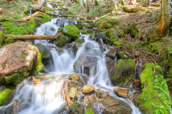 Rainier Waterfall — Stock Photo, Image