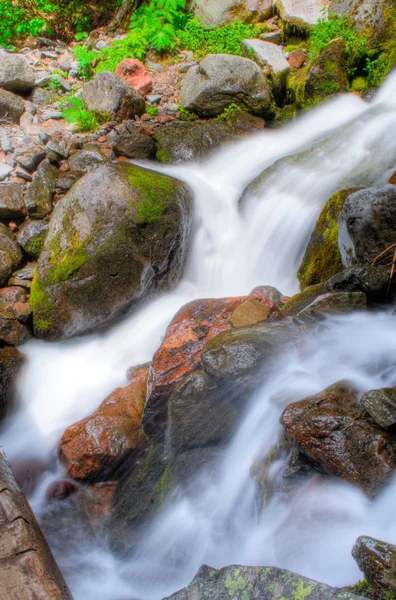 Реньє водоспад — стокове фото