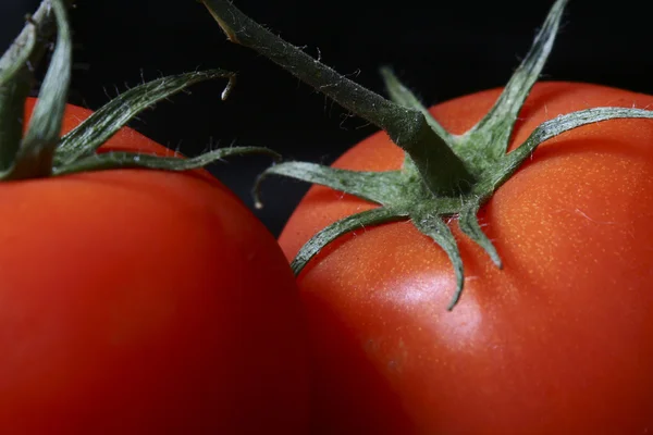 Twee rode tomaten — Stockfoto