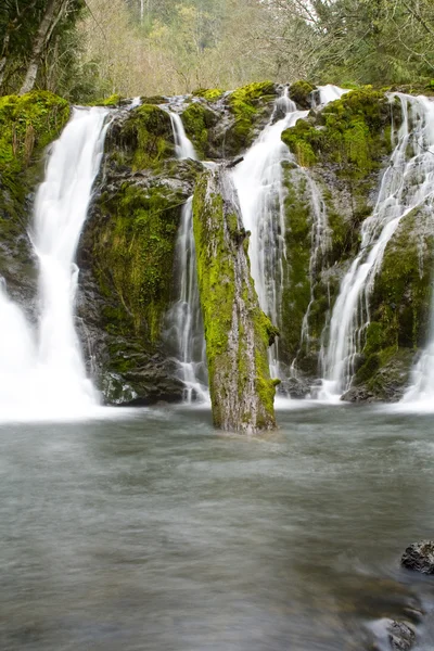 Beaver Creek Falls — Stock Photo, Image