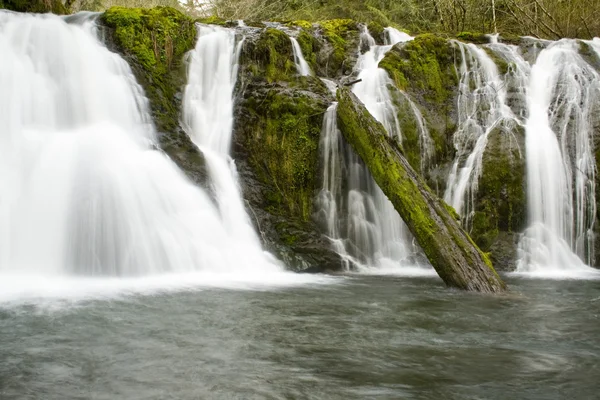 Quedas de Beaver Creek — Fotografia de Stock