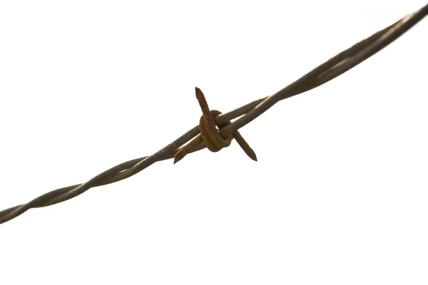 Barbed Wire — Stock Photo, Image