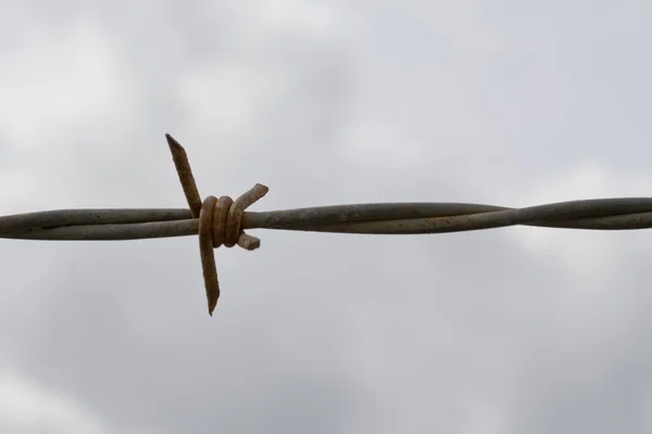 Barbed Wire — Stock Photo, Image