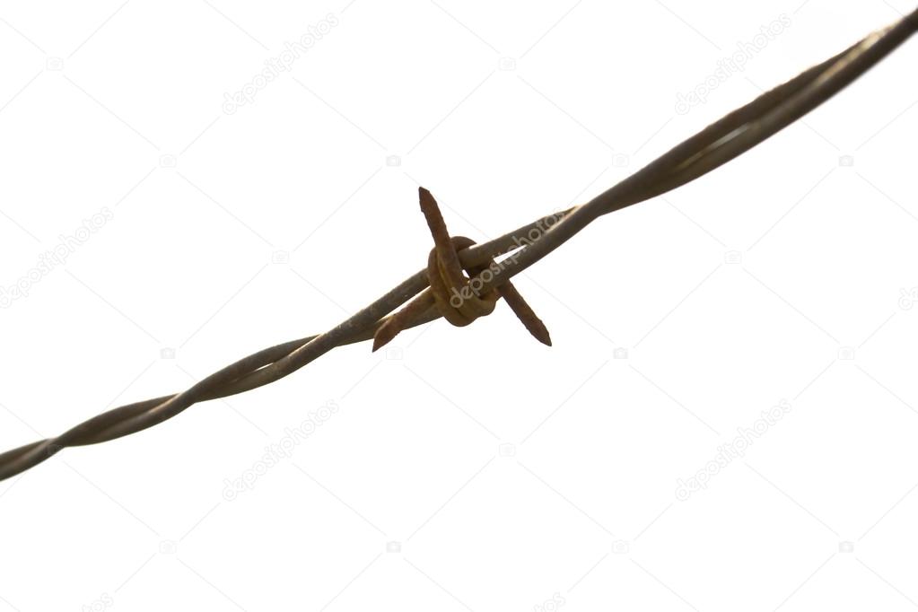 Barbed Wire