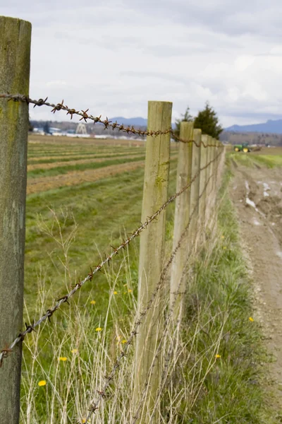 Barbed Wire Fence — Stock Photo, Image