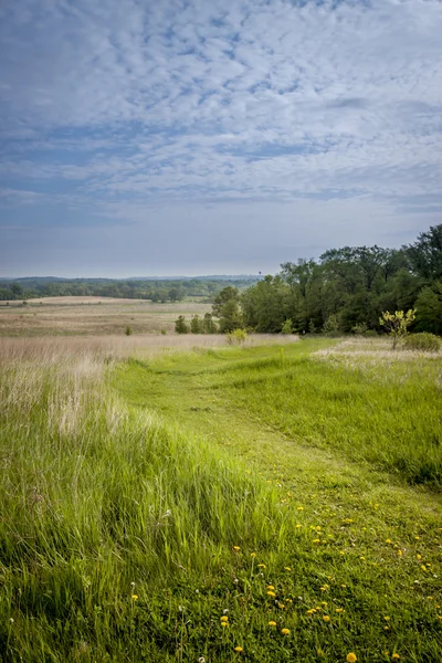 Vacker vår landskap — Stockfoto