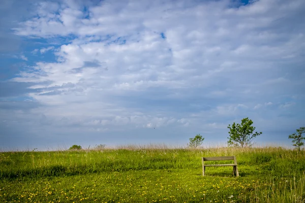 Весенний пейзаж со скамейкой — стоковое фото