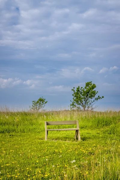 Våren landskap med bänk — Stockfoto