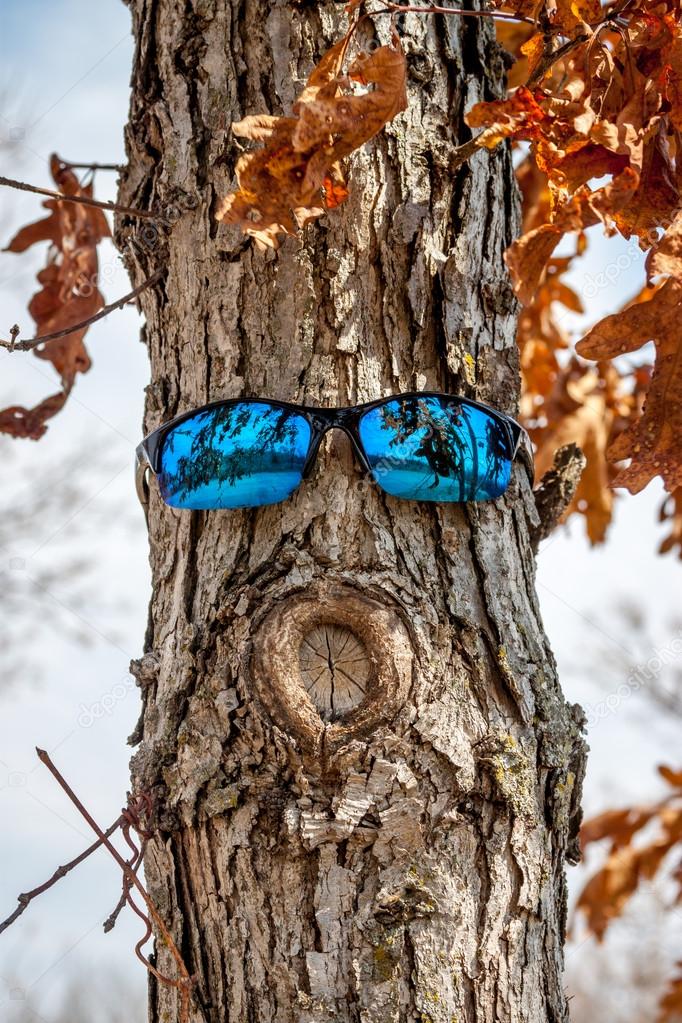 Tree Portrait