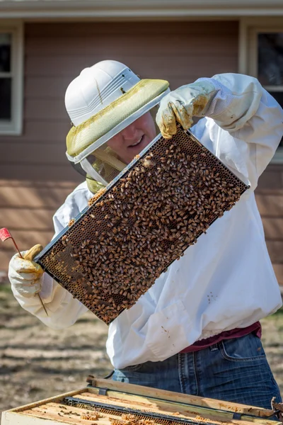 Çerçeveleri teftiş