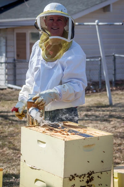 Fumar las abejas —  Fotos de Stock