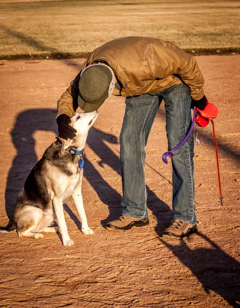 Doggy kyssar — Stockfoto