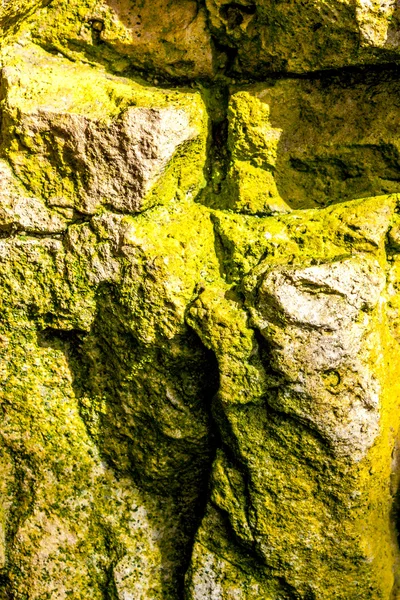 Rock and moss — Stock Photo, Image