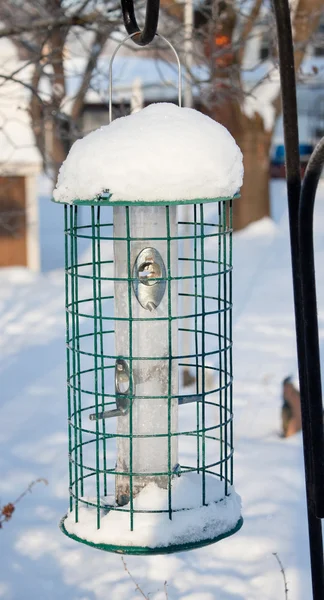 Boş Birdfeeder — Stok fotoğraf