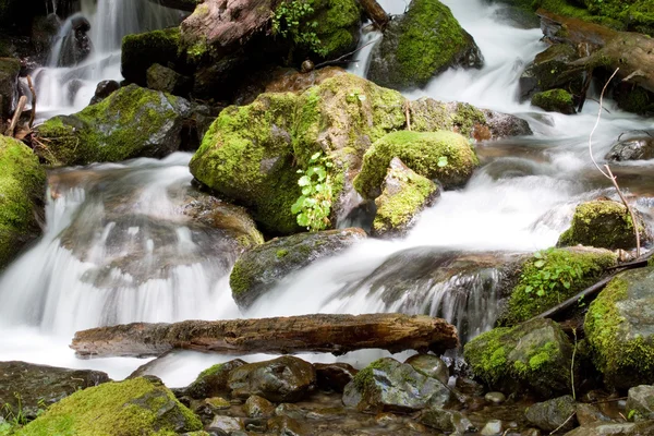 Washington Waterfall — Stock Photo, Image