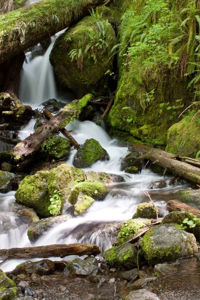 Washington Waterfall — Stock Photo, Image