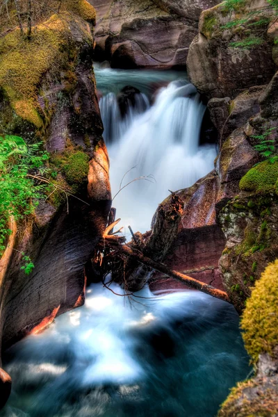 Avalanche Creek Falls — Stock Photo, Image