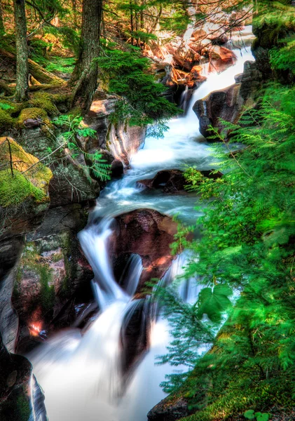 Avalanche Creek Falls — Stockfoto