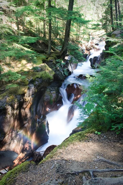 Avalanche Creekin putoukset — kuvapankkivalokuva