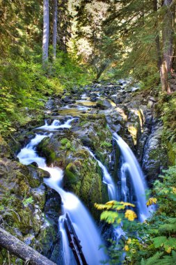 Sol duc Falls