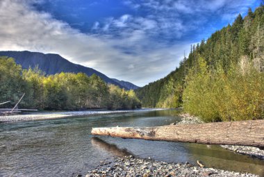 elwha Nehri