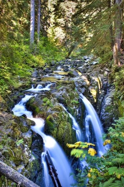 Sol Duc Falls — Stock Photo, Image