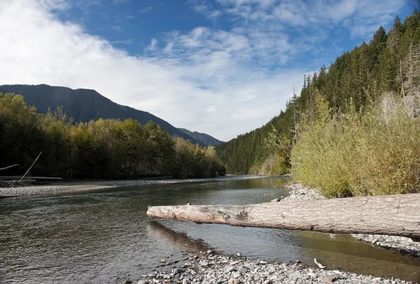 Elwha-Fluss — Stockfoto