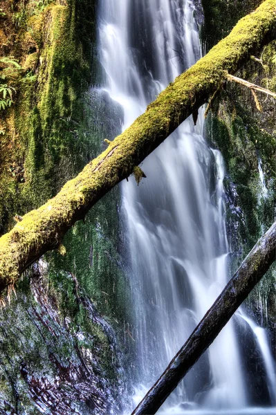 Wolf Creek Falls — Stockfoto