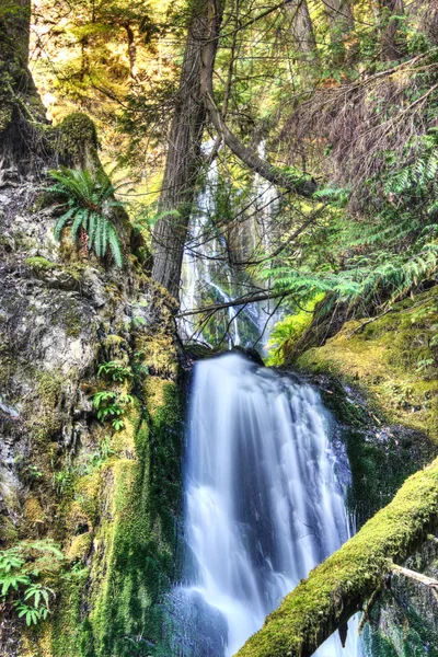 Wolf Creek Falls — Stock Photo, Image