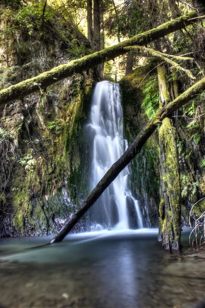 Wolf Creek Falls — Stock Photo, Image