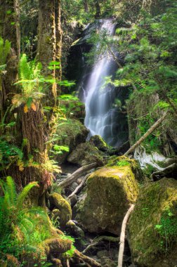 Merriman Falls