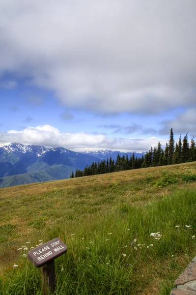 Hurricane Ridge — Stockfoto