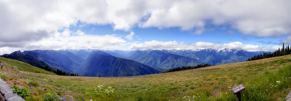 Panorama di Hurricane Ridge — Foto Stock