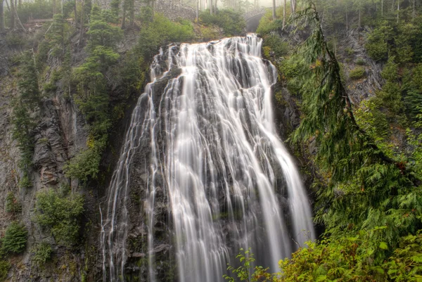 Narada Falls — Stock Photo, Image