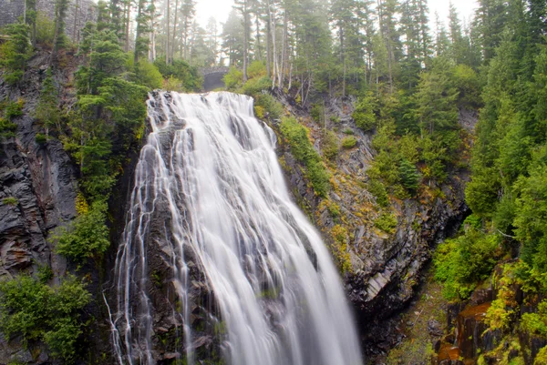 Narada Falls — Stok fotoğraf