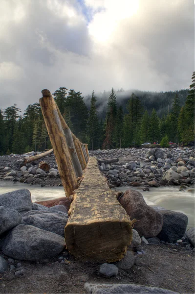 Log Bridge — Stock Photo, Image