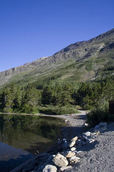 Swiftcurrent Lake — Stock Photo, Image