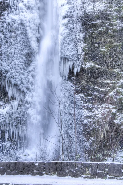 Chutes de prêle congelées — Photo