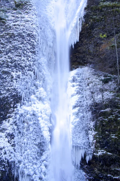 Chutes de prêle congelées — Photo