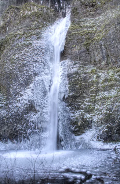 Chutes de prêle congelées — Photo