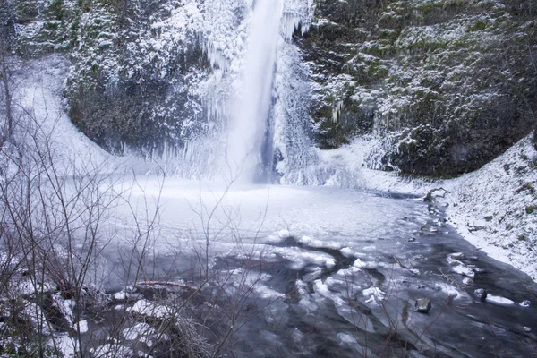 Chutes de prêle congelées — Photo