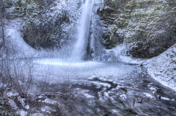 Chutes de prêle congelées — Photo