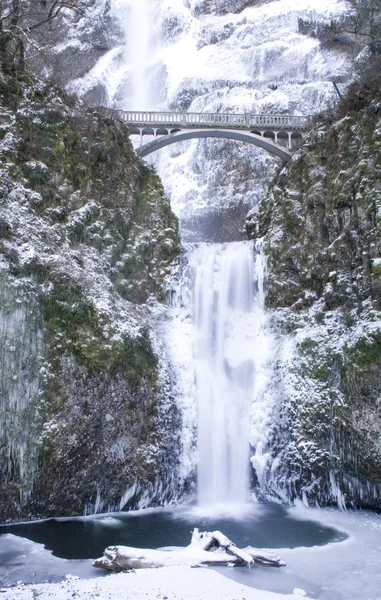 Multnomah Falls fryst — Stockfoto